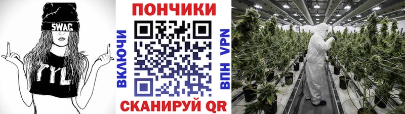 Купить закладку Метамфетамин  Меф  Alpha PVP  АМФЕТАМИН  Галлюциногенные грибы  Каннабис  Вейп ТГК  Кокаин  ГАШИШ  Демидов