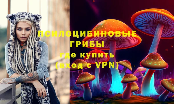 apvp Богданович