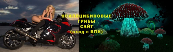 apvp Богданович