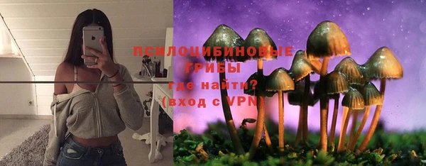скорость Богородицк
